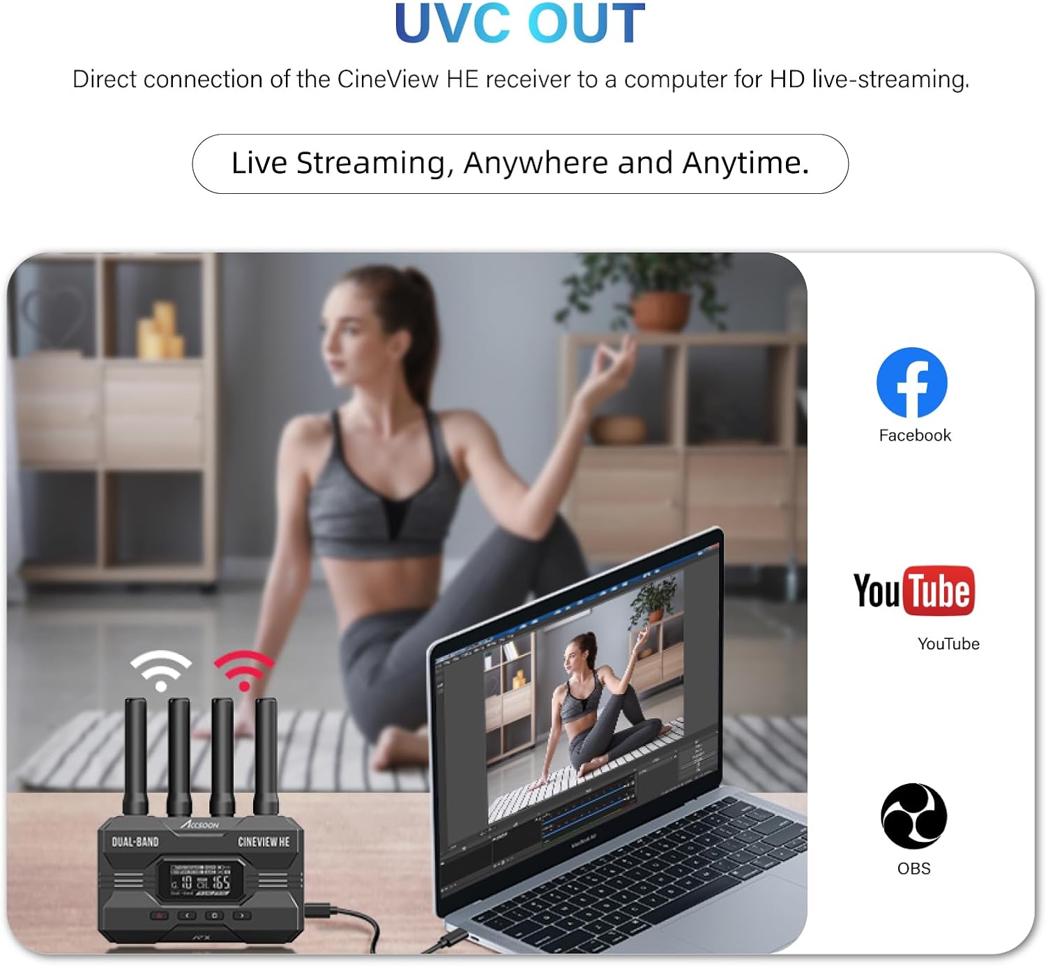 ACCSOON CineView HE HDMI Video - Usb C To Hdmi review and price